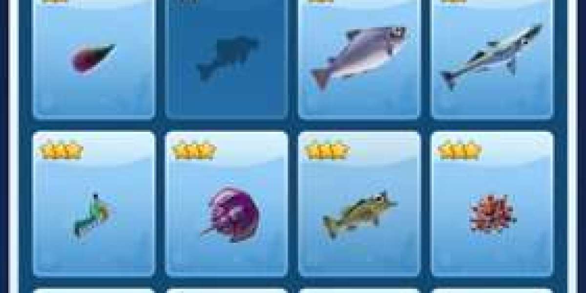 Fishing Tournament Overview - Monthly Prizes & Seasons